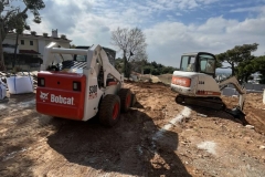 bobcat10