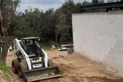 bobcat12