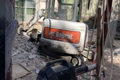 bobcat13