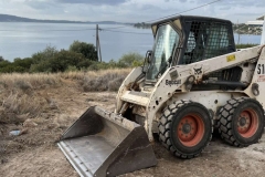 bobcat14