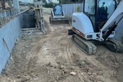 bobcat16