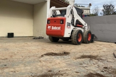 bobcat17