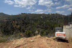 bobcat4