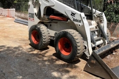 bobcat6