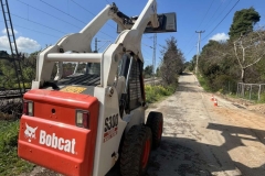 bobcat7
