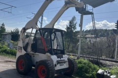 bobcat8