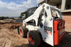 bobcat9